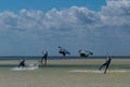 CANCUN, MEXICO - 02/18/2018: Adrenalin Kitesurf.