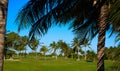 Cancun Mexico Kukulcan blvd golf course Royalty Free Stock Photo