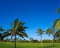 Cancun Mexico Kukulcan blvd golf course Royalty Free Stock Photo