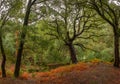 Candal a Schist Village in Portugal