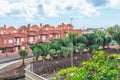 Candelabra trees alley on Calle Europa Street in La Laguna town in Tenerife Royalty Free Stock Photo