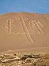 Candelabrum in Paracas national park