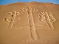 Candelabrum in Paracas national park