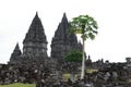 Candi Prambanan Temple Complex`s landscape viewed, Yogyakarta, Central Java, Indonesia