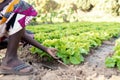 Candid Photo of African Little Child Touching Salad in Agricultural Field in Typical African Village