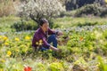 Natural woman working in sunny sustainable garden Royalty Free Stock Photo