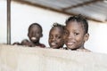 Candid Portrait of Three Gorgeous African Children Smiling, Laughing and Enjoying Photos