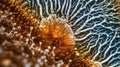 Candida Auris Fungus Close-Up for Medical Research.