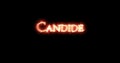 Candide written with fire. Loop