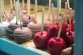 Candied apples on a stick at a fair