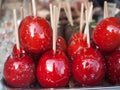 Candied Apples at Vienna Christmas Market