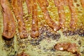 Candied bacon on parchment paper