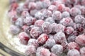 Candied cranberry with sugar. Cranberries covered with white sugar.