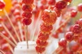 Candied haws on stick