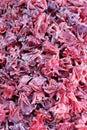 Candied hibiscus flowers