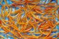Candied orange peel on a wire rack Royalty Free Stock Photo