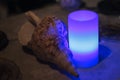 candle with blue light and seashell decoration