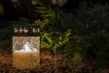 Lonely candle in cemetery at night against green thuja plant.