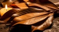 Warm glow of a candle illuminates rich, textured dried leaves on a rustic surface, evoking autumn comfort Royalty Free Stock Photo