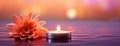 Candle and flower on water Royalty Free Stock Photo