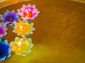 Candle in the flowers colorful holders floating on water Royalty Free Stock Photo