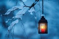 Candle lantern hanging from tree branch Royalty Free Stock Photo