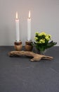 Candle light ambiance with kalanchoe indoor plant and decoration from driftwood at grey background with copy space for your own te