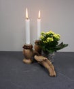 Candle light ambiance with kalanchoe indoor plant and decoration from driftwood at grey background with copy space for your own te