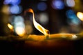 Candle light and Bokeh background Royalty Free Stock Photo