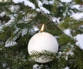 Candle light on snow-bound firry branches