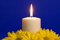 Candle Light and Yellow Daisies