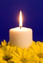 Candle Light and Yellow Daisies