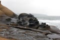 Candle like stones in Yehliu geopark in Taiwan