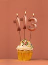 Candle number 113 - Cake birthday in coral fusion background
