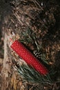 holiday concept candle on an old log in the forest Royalty Free Stock Photo