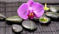 candle with orchids and lava stones