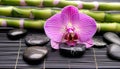 candle with orchids and lava stones Royalty Free Stock Photo