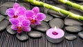 candle with orchids and lava stones