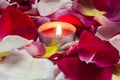 Candle and petals Royalty Free Stock Photo