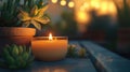Candle and Plant Royalty Free Stock Photo