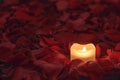 Candle on the rose petals background Royalty Free Stock Photo