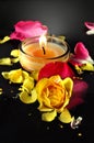 Candle and Roses Royalty Free Stock Photo