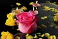 Candle and Roses Royalty Free Stock Photo