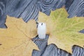 A candle stub on brushed pine boards. Dried maple leaves all around