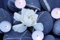 Candle and white flower Royalty Free Stock Photo