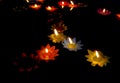Candlelight Candles flower floating on a water. Royalty Free Stock Photo