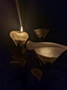 candlelight in the dark Royalty Free Stock Photo