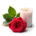 Candlelight with Rose Isolated on White Background, Romantic Lighting Royalty Free Stock Photo
