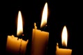 Candles Royalty Free Stock Photo