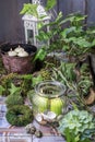 Candles in big glass jar Royalty Free Stock Photo